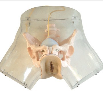 ͸���ι�ģ�� �ι�ģ�� Ů������ģ�� ��������ģ��