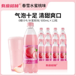 �������ִ�ѩˮ����ζ��ˮ600mL