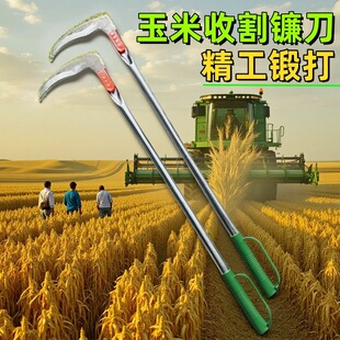 ����砵��ո�����砵��ն�����砵��^������砵��L�����ü��L���