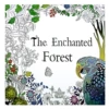 Magic Forest (Big)