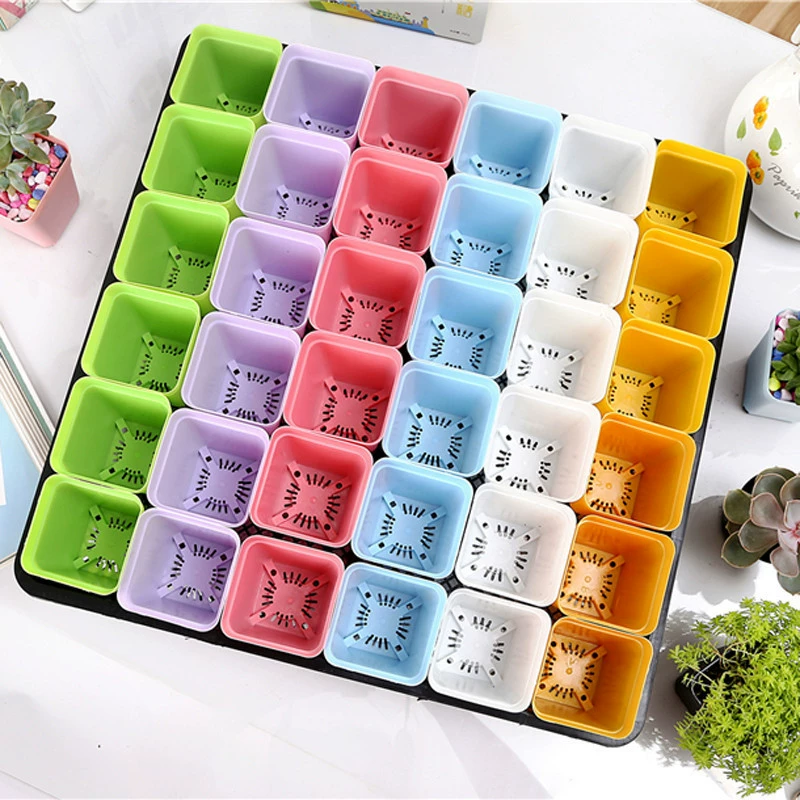 Повышенное утолщение может вместить 36 маленьких черных горшков для рассады мясистый цветочный горшок для переноски отделочного лотка ростки листьев Овощной горшок