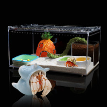 寄居蟹高透一体饲养箱～寄居蟹活体新手饲养套餐套装亚克力礼物