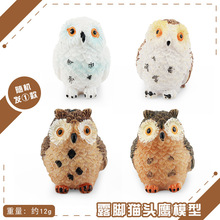 �羳�����������ģ���ΰڼ���߰�ͷӥèͷӥ��ӥҰ����������װ