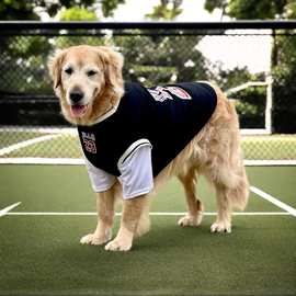 狗狗衣服大型犬薄款金毛拉布拉多杜宾假两件球服大狗衣服夏季衣服