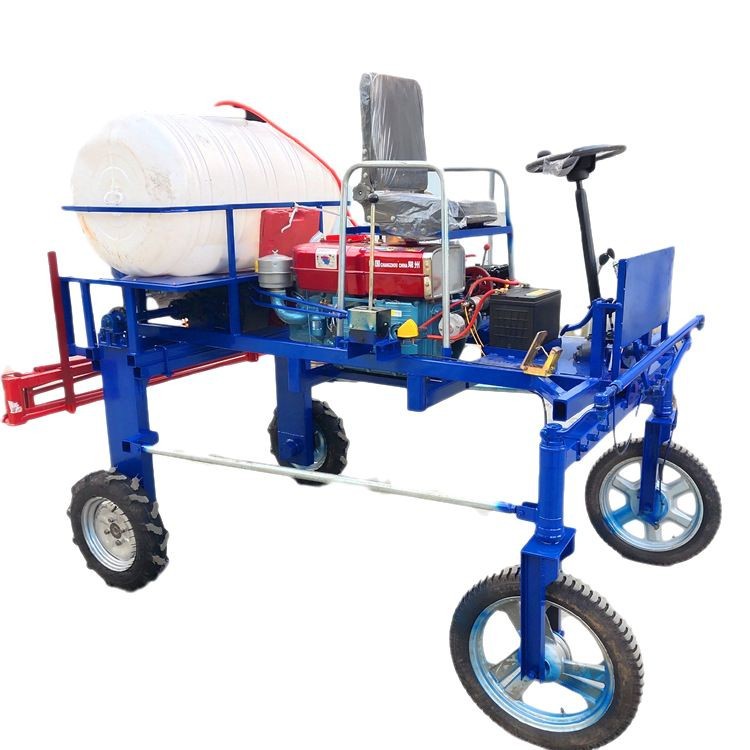 深度报导 - 搜狐