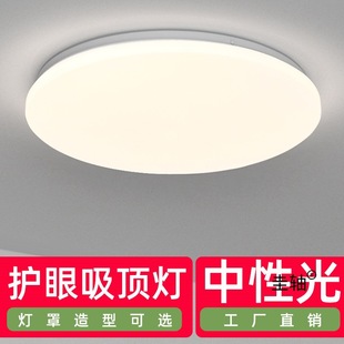 Neutral Light Ceiling Lamp 4000K Eye Protection Led Lamp Living Room Lamp Bedroom Lamp Balcony Aisle Lamp Home Engineering Lamp