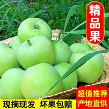 山西青蘋果新鮮水果現摘現發應季酸甜多汁小綠平果3/5/9斤整箱