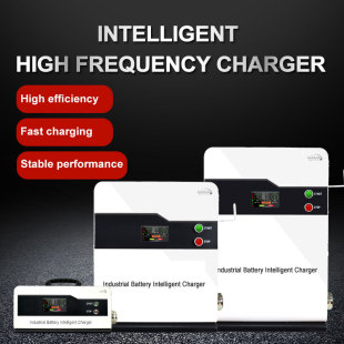 High Power 9Kw10Kw20Kw30Kw Industrial Charger Three-Phase Input 380Industrial Charger