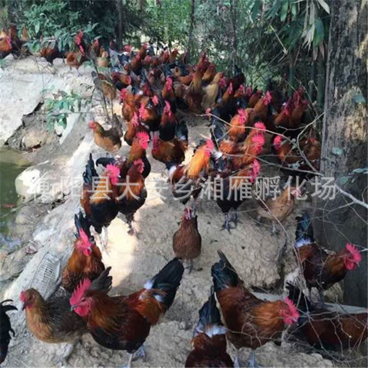 0e71b8cc7cd98d10b2e2bc05293fb8