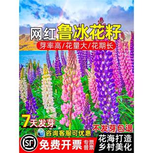 �������N���ļ��Nֲ�l�������W�t�����N�����ȶ�����Ұ���M�ϻ��N