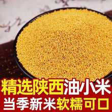 ��������SС������ɽ�����SС���r���SС��ܛŴ����������С����