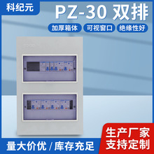 PZ30_ðbǶʽ늿՚_P·