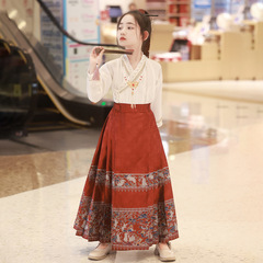 Little Girl's Mamian Skirt Spring Hanfu Set National Style 2024 New Version Ming Style Improved Tang Suit National Trend Flower Girl Dress