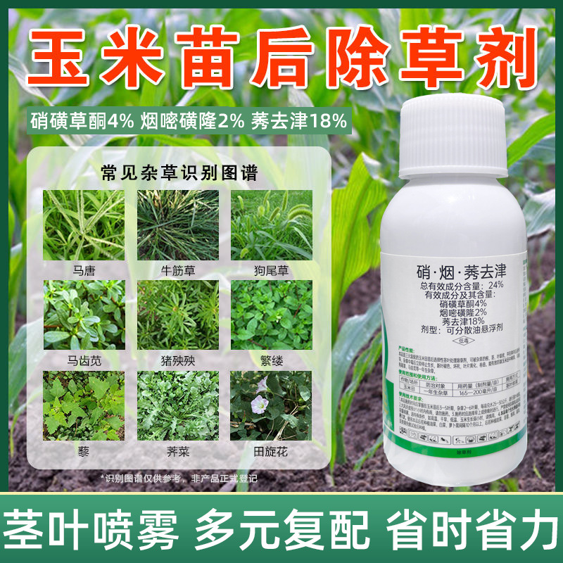 玉米苗后除草剂新款玉米草药一整箱硝磺莠去津不伤苗玉米除草剂