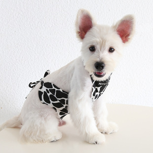 Petstyle ��ţ׃�b�o�Ƿ��K����ĸ���Ƕ���ȹ�ֹ����·������»�