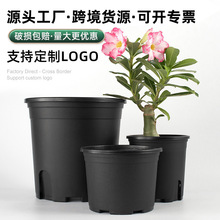 ��ɫ�ظ�5�Ӂ���7�Ӂ��������l����С���ԷNֲ��͸�⻨�����ϸ���