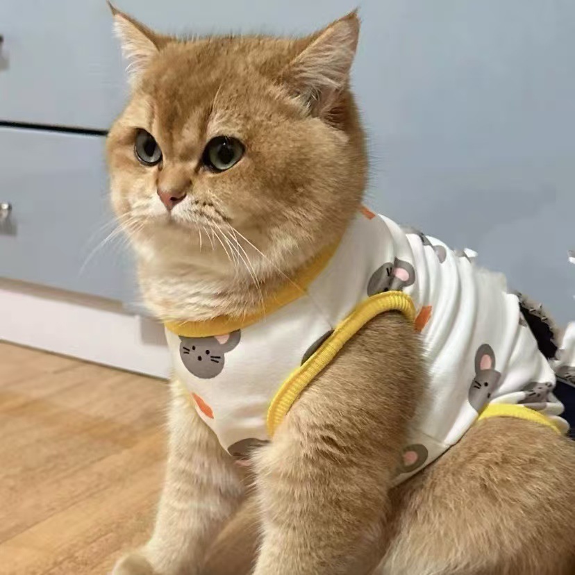 fd6cca53-73a6-444d-9ff2-fb62a739c1ed.jpe