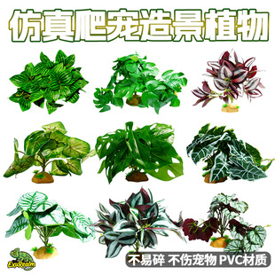 ���x����B�����쾰��С��Ƥ֩��ϐ�،m������������������ֲ��