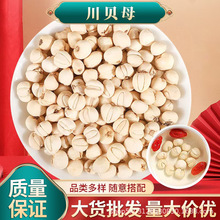 正宗四川阿坝野生川贝母 中药材无硫川贝母颗粒5克瓶装可批发代发