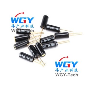 Hot Selling High-Sensitivity Sw-520D Spring Switch Angle Switch Tilt Switch Vibration Switch Can Be Directly Shot