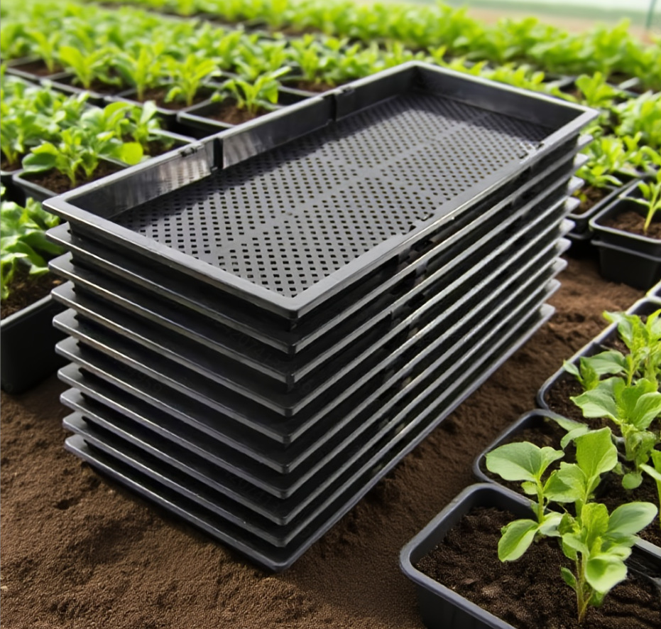 Seedling pots 10 pack