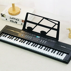 儿童乐器;键盘类乐器;儿童电子琴