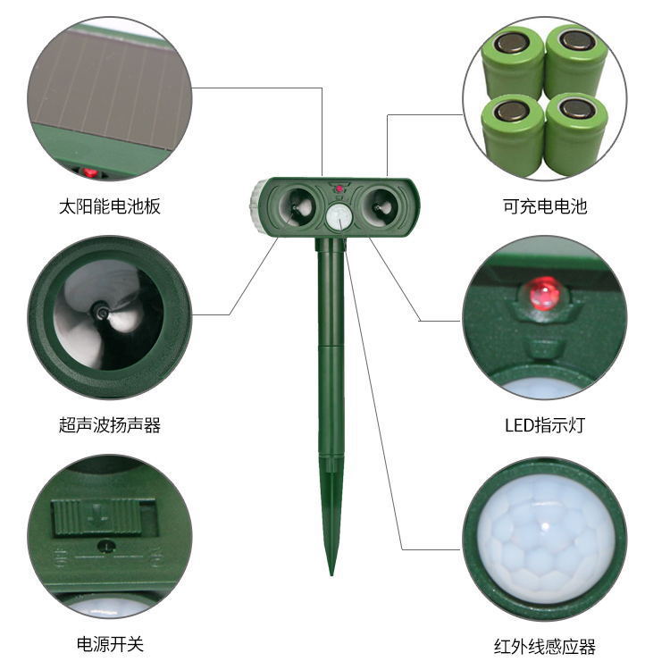 12405176878_645404161