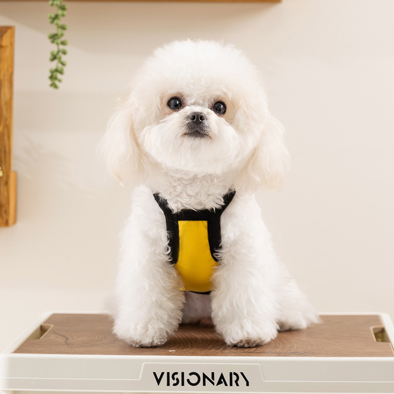 Primavera y verano nuevo estilo lindo perro orejas tridimensionales perro cabestrillo delgado transpirable gato mascota ropa de perro de peluche