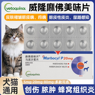 �����ζƬ��؈������/��șȮēƤ֢��/·/��/Ⱦ�R��ɳ����¡