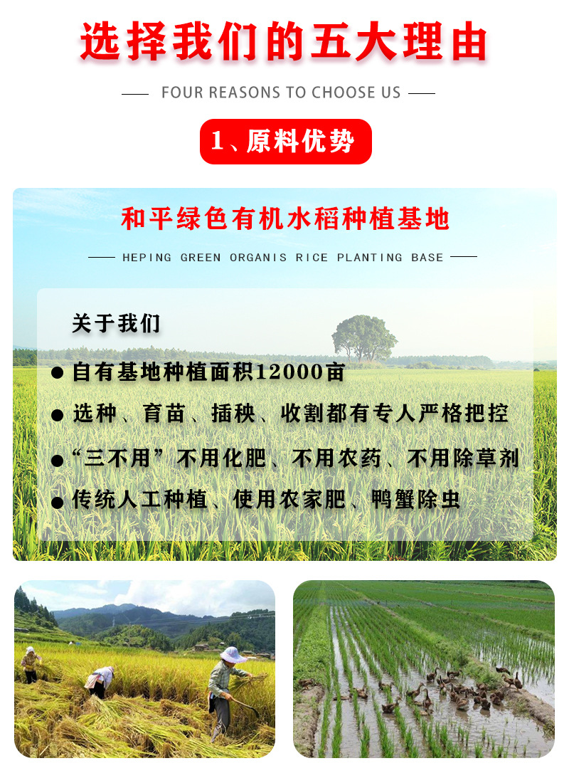 选择我们的四大理由