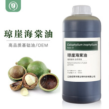 琼崖海棠油冷榨植物油基础油基底油原料 厂家批发销售