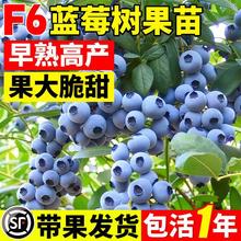 F6{ݮļ{ݮԵԮYϱ̨Nֲ