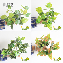 仿真绿植绿萝叶西瓜叶白网叶室内造景户外微景观装饰地插仿生植物