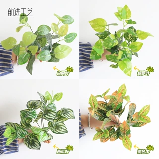 仿真绿植绿萝叶西瓜叶白网叶室内造景户外微景观装饰地插仿生植物