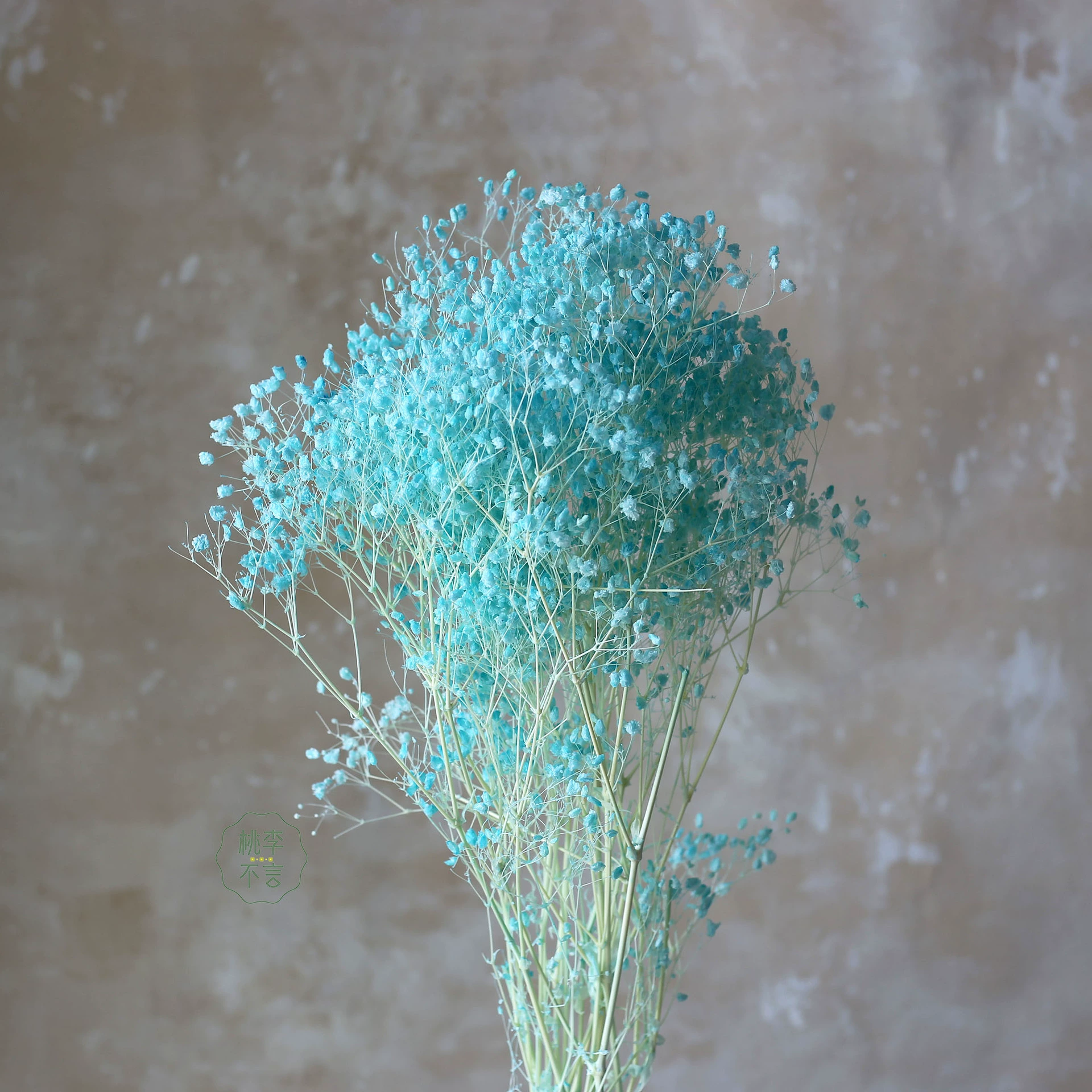 [永生花梦幻星千万星漂白满天星干花厂家批发礼盒玻璃罩制作原材料]