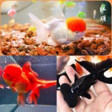 �Q피t���\���^��ˮ�^�p�~�{���^���B�ͻˮ�~��С�ͽ��~