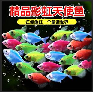 �߲���ʹ�~�^�p�~��Ⱥ�~�Ꭷ�~Ⱥ�ΰ��R����С���~��ˮ�~���B�ͻ�