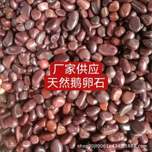 1 Ton of Natural Red Pebbles, Rain Flower Stones, Large and Small Stones, Balcony Courtyard Landscape Decoration, Paving, Fish Tank Landscaping