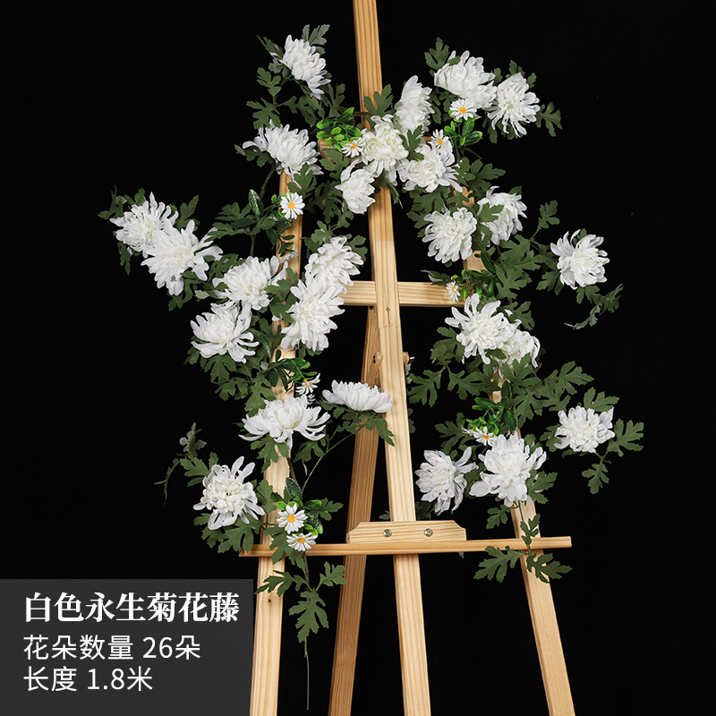Aeonium rattan – yellow
