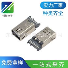 MINI DPĸ������ʽ���o�׾��A20PСDP��������ҕ�l����ע��ĸ��