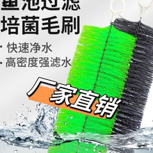 �~��ëˢ�^�V�����^�V��ëˢ�V���\���~���^�Vëˢ��ɫ��ˮʮ��ˢ