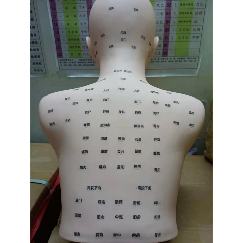 Mannequin head for face washing