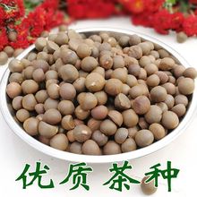 �r�G��N�Ӳ��ѿ��������lѿ�缃�F���в�108��������S��ѿ