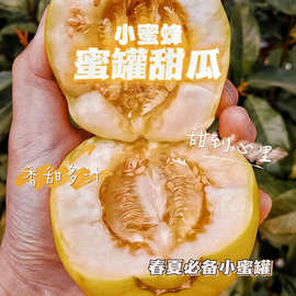 山东小蜜蜂蜜罐甜瓜3斤/4.5斤 新鲜水果蜜罐甜瓜