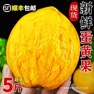 ���r���S��5�ﮔ���Ꭷˮ���خa�u�����{���^���ҙ��ЋD��S���]