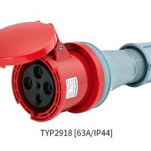 ���� ���I���^ WEIPU IP44���R TYP2918 63A/4о 380V ���ӿײ���