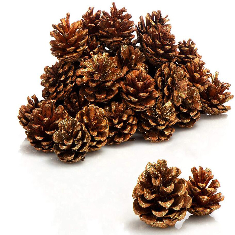 Procesamiento y embalaje de piñas Flores secas personalizadas Pinus olinus americano Pinus olisina local Pinus scale hilo colgante de piñas naturales image 6