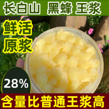 黑蜂蜂王浆纯浆长白山椴树原浆不提取春浆蜂皇浆冻干冻干片高含量