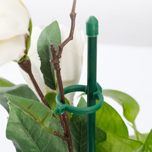 植物支撑杆兰花护叶枝龟背竹海芋专用园艺扶持架花卉防倒伏固定器