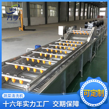 气泡果蔬清洗机大型全自动臭氧灭菌气泡清洗设备预制菜消毒杀菌